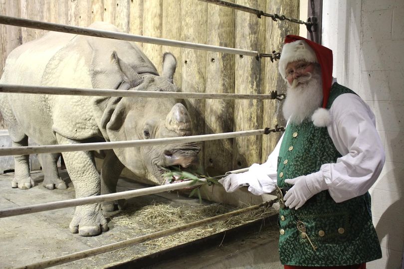 Santa with Rupert the Rhino
